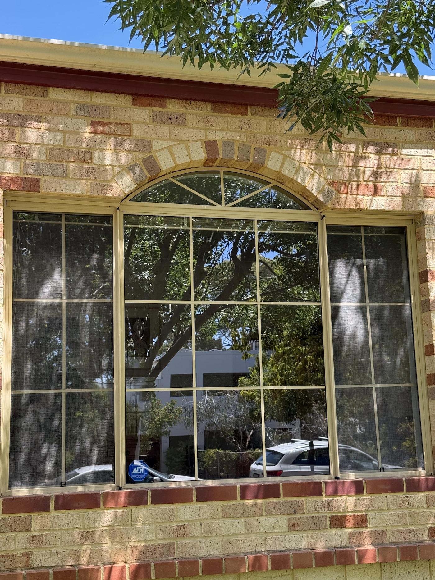 <span>Our Tinting Work</span> <br>in Action