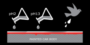 Car paint protection