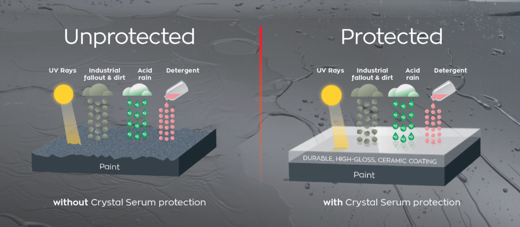 Car Paint Protection