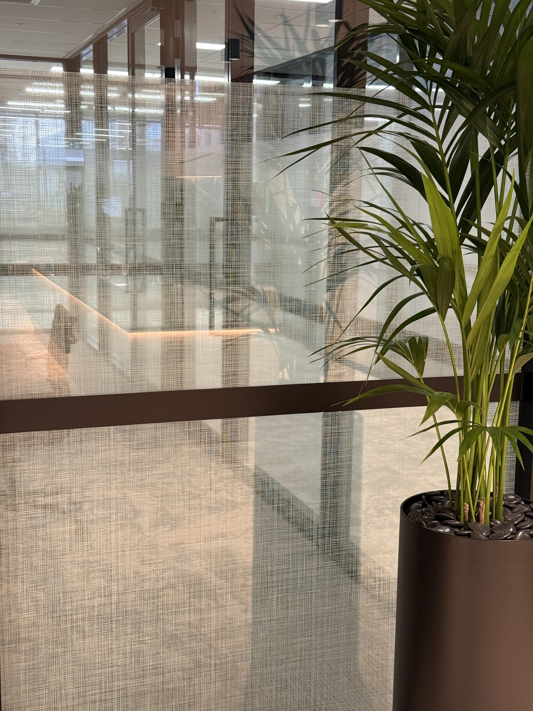 <span>Our Tinting Work</span> <br>in Action