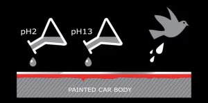 car paint protection